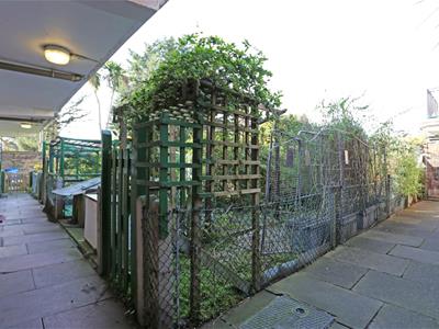 Picture 7